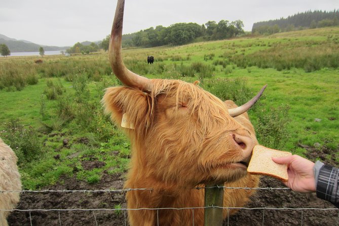 1 Day Tour from Inverness - Isle of Skye, Fairy Pools, and Eilean Donan Castle - Crossing to Skye through Highland country