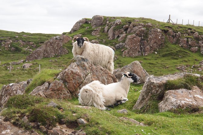 1 Day Tour from Inverness - Isle of Skye, Fairy Pools, and Eilean Donan Castle - Portree Harbour, Skye’s small capital