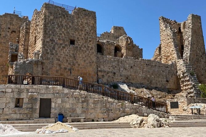 1 Day Tour to Amman Jerash and Ajloun castle - Who should book this day trip