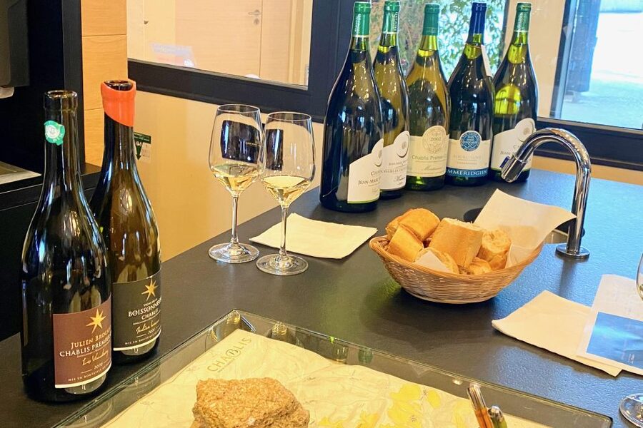 15 Burgundy Wines Chateau Pommard, Chablis Small-Group - Who will enjoy this day most