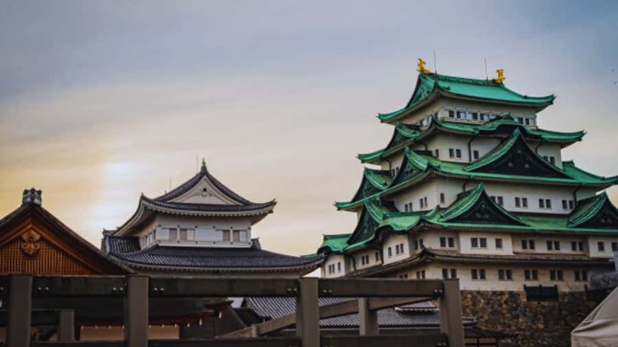 2.5-Hour Nagoya Tour: Castle History, Local Food & City View - Kinshachi Yokocho: Nagoya on a plate