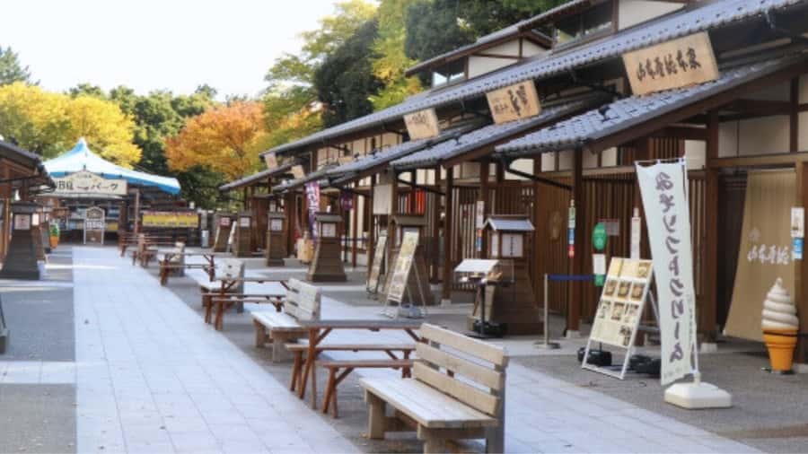 2.5-Hour Nagoya Tour: Castle History, Local Food & City View - Timing, meeting points, and walking comfort