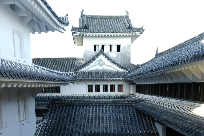 2.5 Hour Private History and Culture Tour in Himeji Castle - A flexible pace for families and history fans