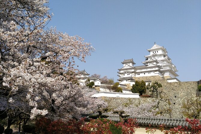 2.5 Hour Private History and Culture Tour in Himeji Castle - Photo advice, lunch suggestions, and extra local help