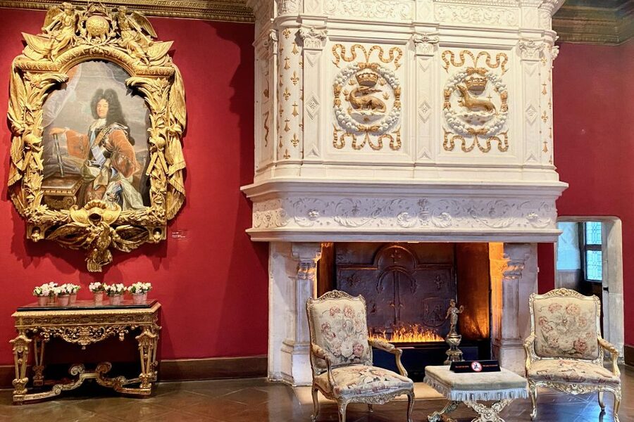 2-day Private Top 6 Loire Valley Castles from Paris Mercedes - Mercedes Comfort and Private Touring