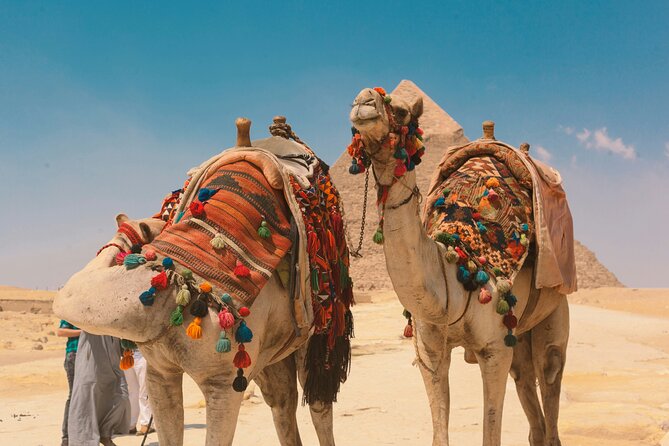 2 Day Pyramid, Sakkara, Memphis, Museum, and Citadel Private Tour - The Mosque of Muhammad Ali and Old Cairo