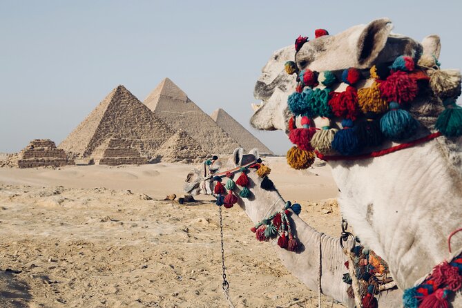 2 Day Pyramid, Sakkara, Memphis, Museum, and Citadel Private Tour - One hour on the Nile by traditional felucca