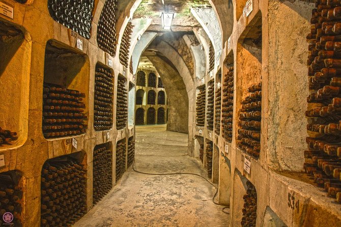 2 Excursions in One Day-Milestii Mici Winery, Tiraspol City and Bender Fortress - Tiraspol With a Local Guide