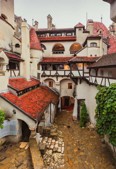 3 Castle Bucharest: Dracula Castle, Wednesday & Peles Castle - Cantacuzino Castle, the Nevermore Academy stop