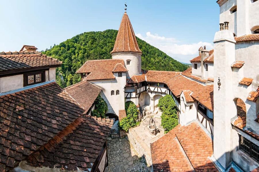 3 Castle Bucharest: Dracula Castle, Wednesday & Peles Castle - The real price and what you receive