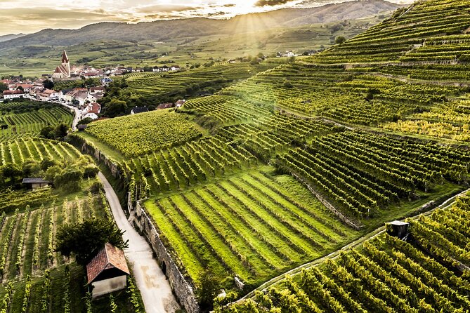 3 Castles & Wine Private Tour in Wachau Valley (incl. Melk Abbey) - Who will enjoy this day most