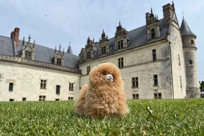 3 Loire Valley Castles and Wine Tasting Private Guided Tour - What the private vehicle adds