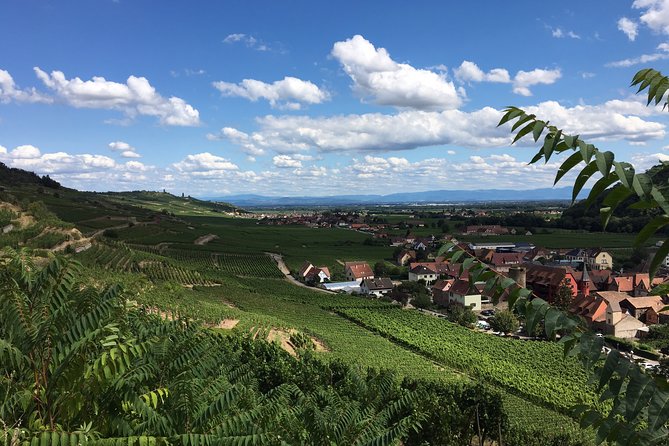 5H00 ALSACE PRIVATE TOUR-Castle, Villages, Wine, Friendly Driver - Riquewihr, a medieval village with limited free time
