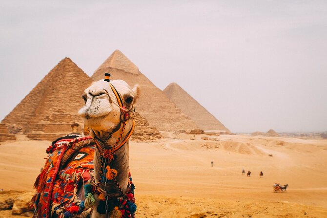 6 Hour Private Tour in Giza Pyramids, Citadel and Coptic Cairo - Giza Pyramids: ancient scale and a short camel ride