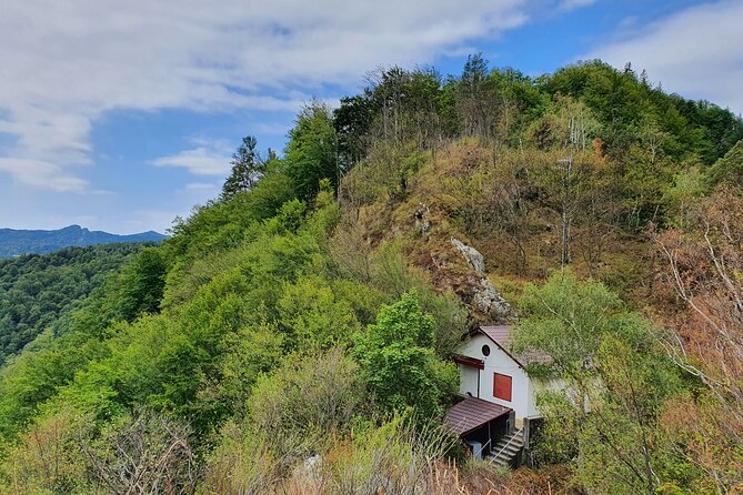 7-hour Private Tour to Bran Castle from Bucharest - Flexibility is useful, but ask what it covers