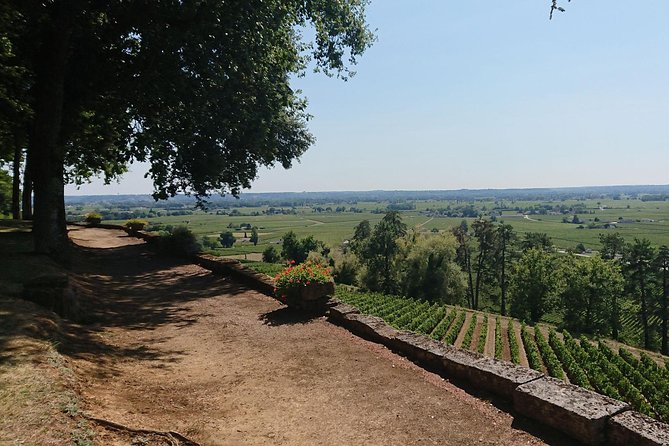 A day in Saint-Émilion and its Châteaux in a private tour (Van Luxe) - Why this private format works well in Bordeaux
