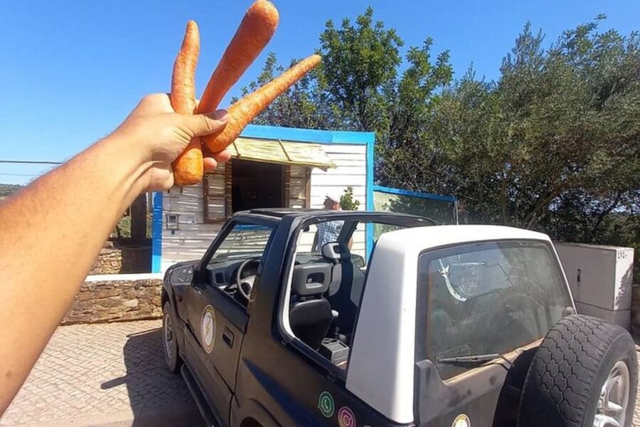 Albufeira Safari exploring villages, churches, castle & farm - The guide makes the difference