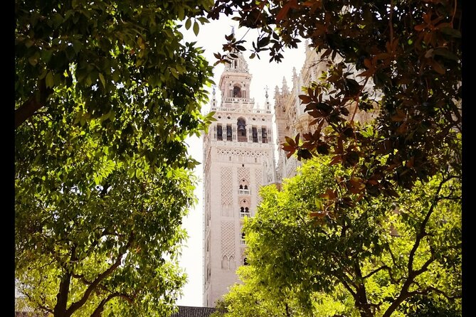 Alcazar and Cathedral of Seville Private Tour - Seville Cathedral, about 75 minutes