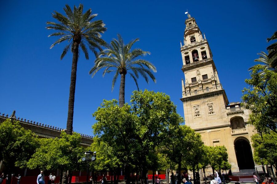 Alcazar of Cordoba Entry Ticket and Guided Tour - Salon de los Mosaicos: The Most Detailed Interior Stop