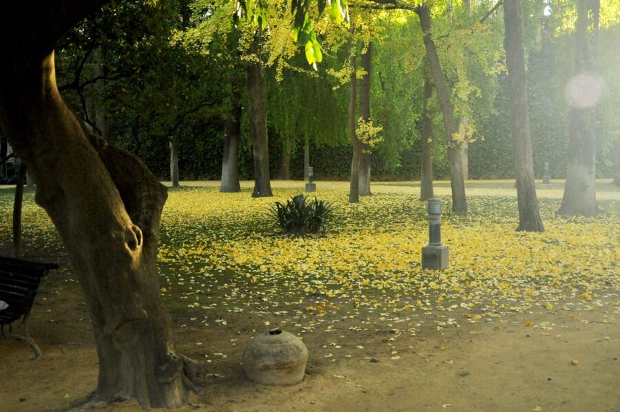 Alcázar of Seville Skip-the-Line Tickets and Guided Tour - Ninety minutes of rooms, courtyards, and royal stories