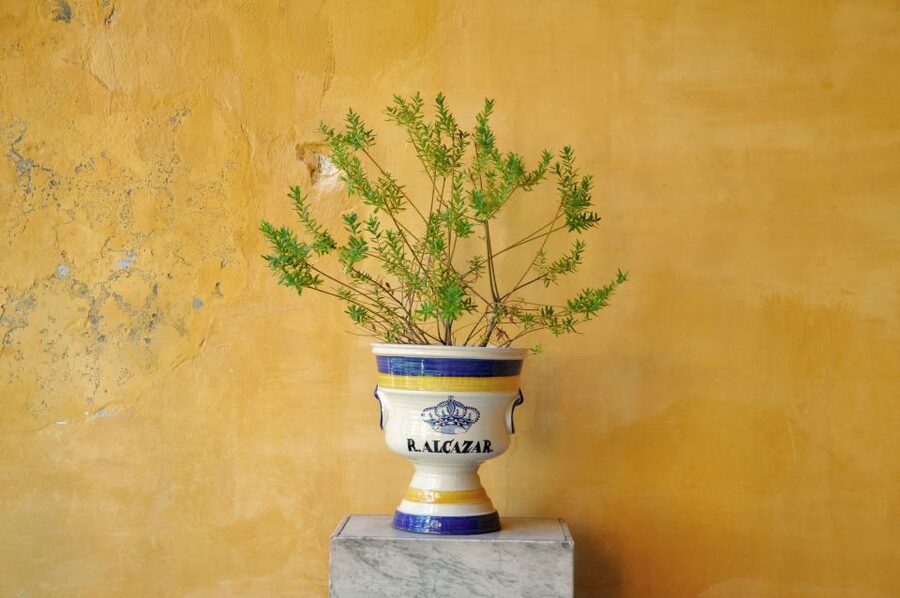 Alcázar of Seville Skip-the-Line Tickets and Guided Tour - Small practical details that matter