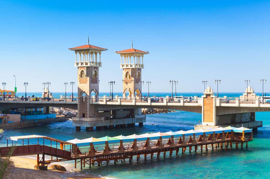 Alexandria: Library, Amphitheater & Citadel Tour - Guide quality matters here
