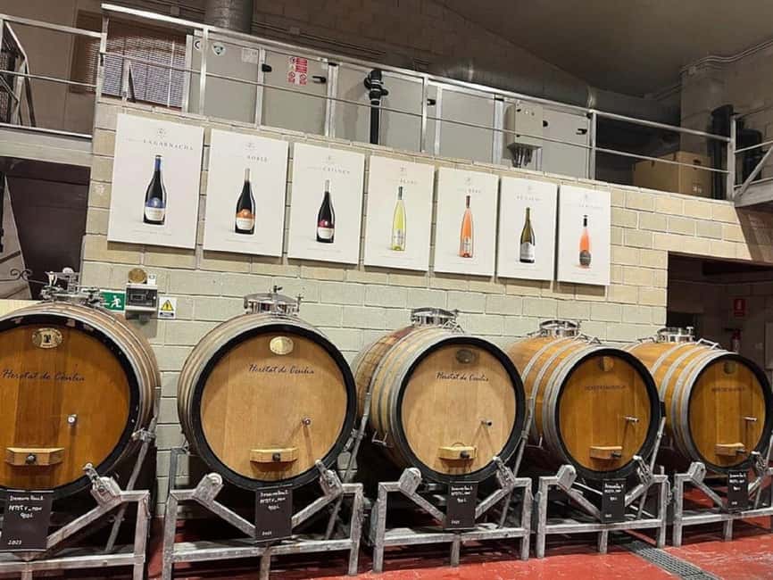 Alicante/Benidorm: Wine tasting tour,transfer,La Mola Castle - What the small group really adds
