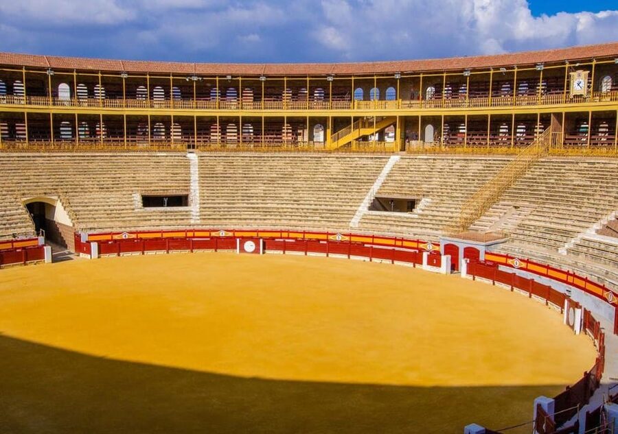 Alicante: Bullring and Castle Guided Tour with Taxi Transfer - Who will get the best value from $77