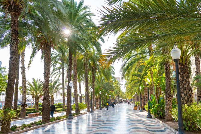 Alicante Tour: Full City, Castle, Market & Tapas Experience - Why this four-hour route works