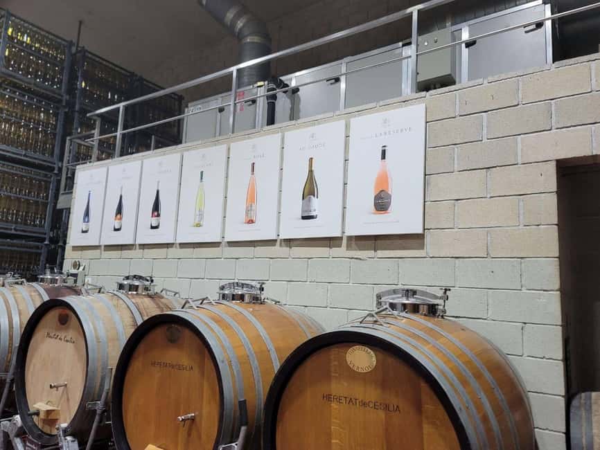 Alicante:Winery Tour+ Wine Tasting + Old castle - The Winery Museum and Older Machines