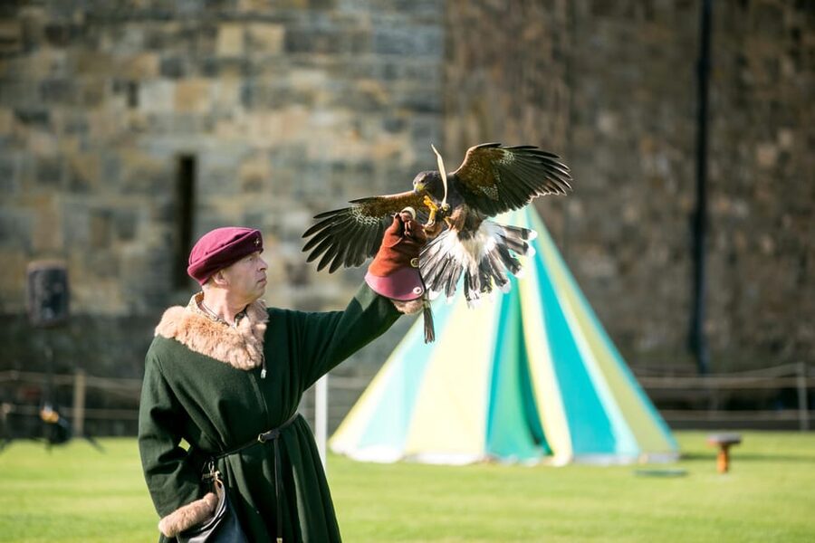 Alnwick: Alnwick Castle Ticket - Artisans Courtyard: The Best Family Base