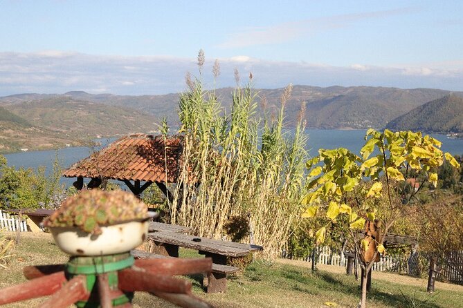 Along the Danube: Golubac Fortress & Iron Gate Gorge day trip from Belgrade - Is the $120.98 price fair?