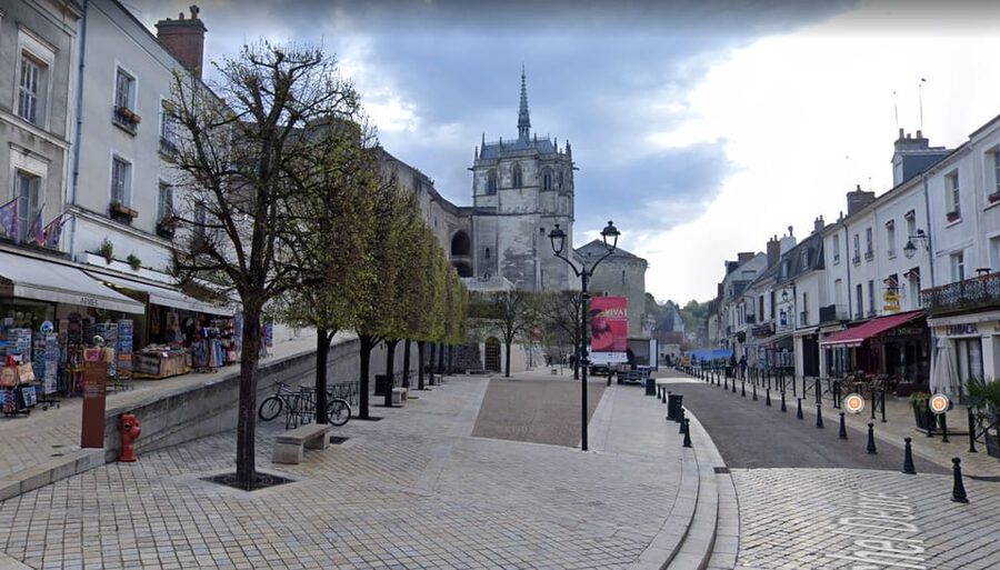 Amboise: Private Guided Tour of the Castle with Entry Ticket - Inside the royal apartments