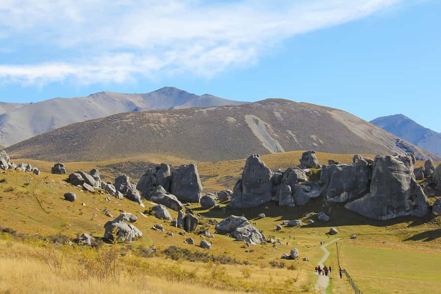 Arthur's Pass: TranzAlpine Train and Castle Hill Day Tour - Key points at a glance