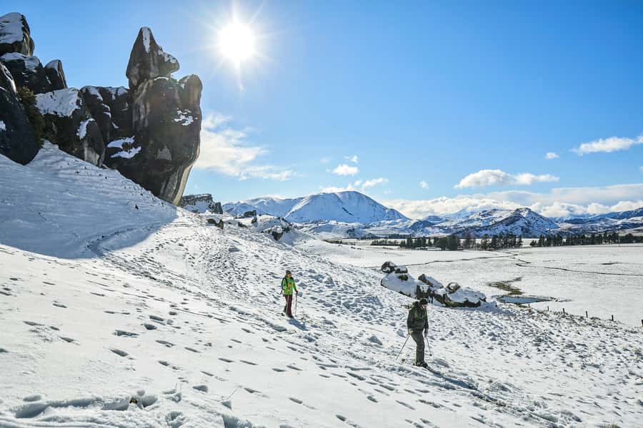Arthur's Pass: TranzAlpine Train and Castle Hill Day Tour - Why this Christchurch day trip works so well
