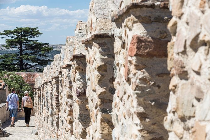 Avila with Walls and Segovia with Alcazar from Madrid - Choosing lunch in Segovia