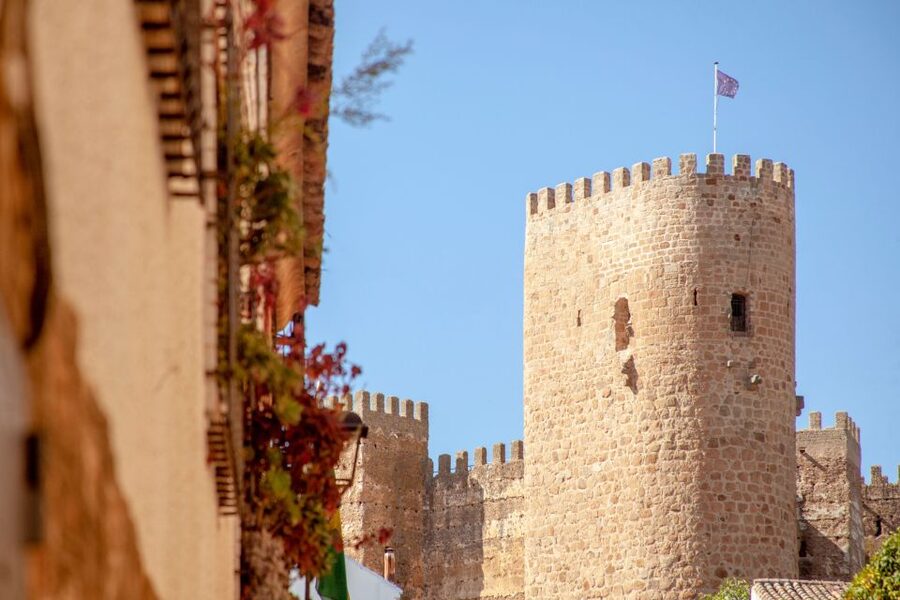 Baños de la Encina: Bury al-Hamma Castle Guided Tour - Should you book Bury al Hamma Castle?