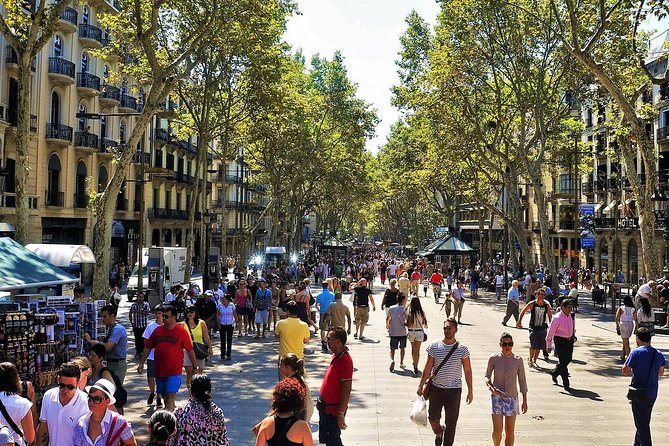 Barcelona: Old Town, Montjuic Castle, Cable Car Small Group Tour - Palau Güell and the Raval’s giant cat