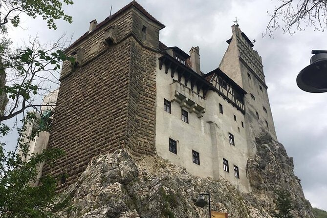 Bear Sanctuary and Bran Castle from Brasov - The drive from Brasov and the small-group advantage