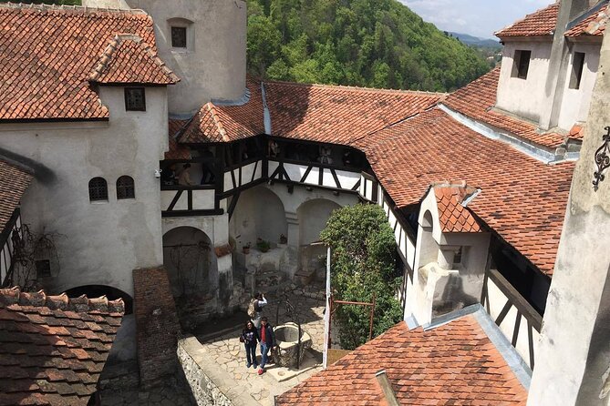 Bear Sanctuary and Bran Castle from Brasov - Timing, fitness, and the best type of visitor
