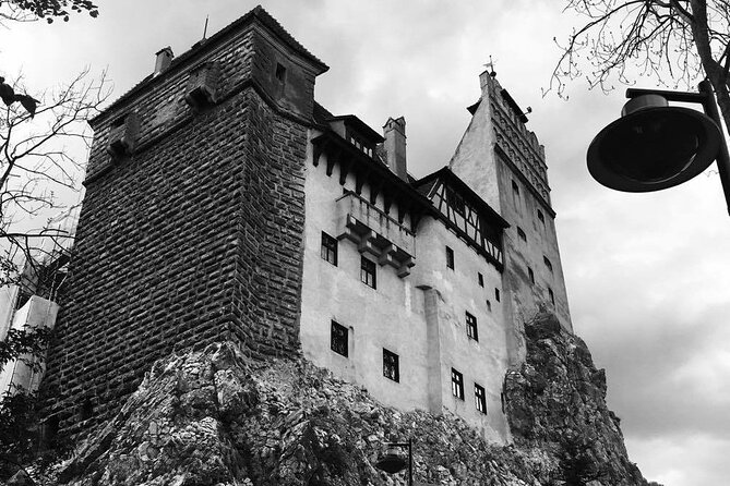 Bear Sanctuary and Bran Castle from Brasov - Should you book the Bear Sanctuary and Bran Castle tour?