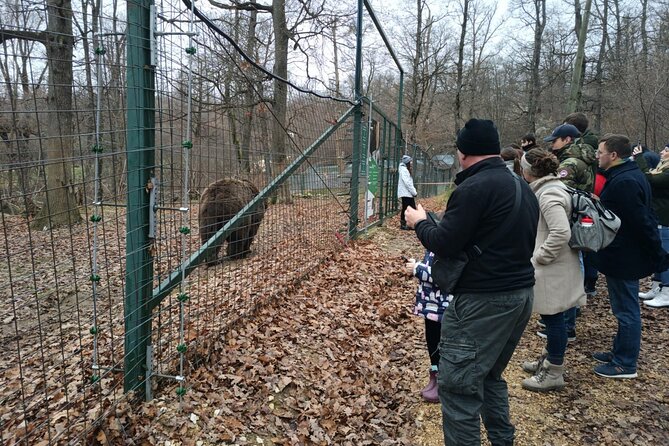 Bear Sanctuary and Bran Castle from Brasov - Bran Castle: Dracula, stairs, and real-world crowds