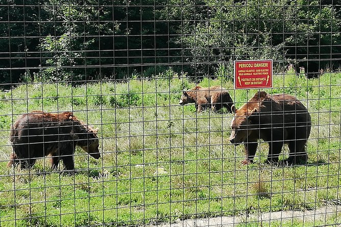 Bear Sanctuary and Dracula's Castle, 1-day Private Tour - What your guide can add to the day