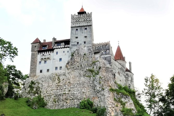 Bear Sanctuary and Dracula's Castle, 1-day Private Tour - Is the $276 price good value?