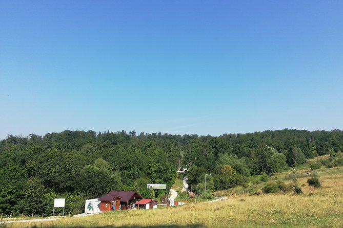 Bear Sanctuary and Dracula's Castle, 1-day Private Tour - The road from Bucharest is part of the day