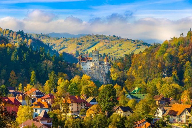 Bear Sanctuary, Bran (Dracula) Castle, Peles Castle From Brasov - Why this day trip works from Brasov