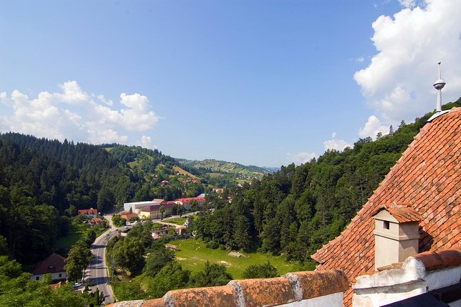 Bear Sanctuary, Bran (Dracula) Castle, Peles Castle From Brasov - Should you book the Brasov bear sanctuary and castles tour?