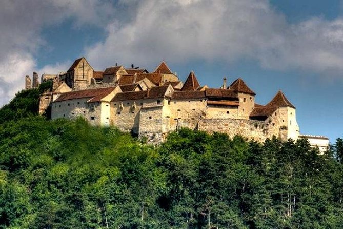 Bear Sanctuary & Rasnov Fortress - Private day tour from Bucharest - How the private format changes the experience