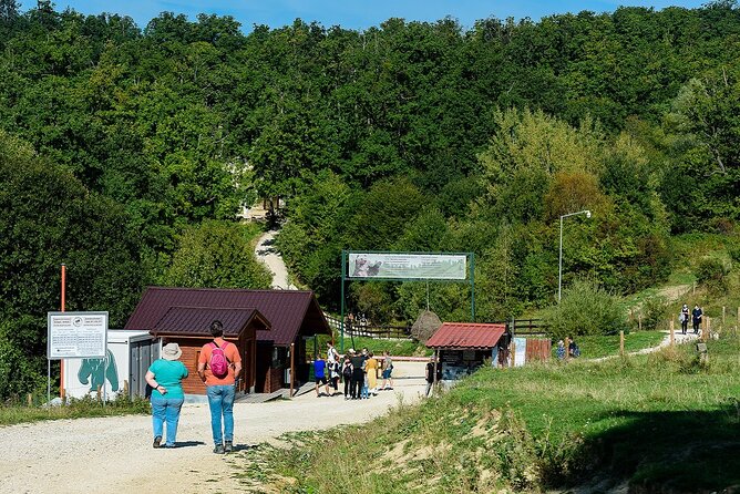 Bears Libearty Sanctuary and Dracula Bran Castle Day Trip - FAQ