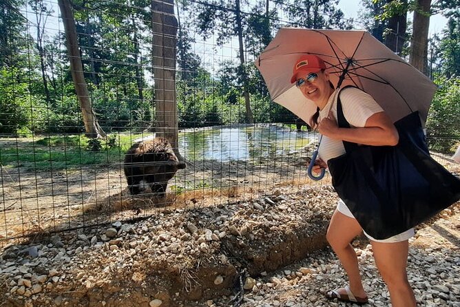 Bears Sanctuary, Dracula Castle and Poiana Brasov-Private day tour from Brasov - A private vehicle changes the whole day